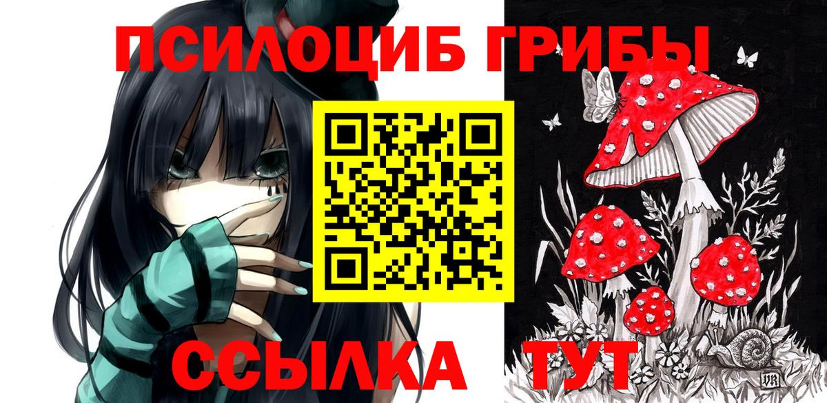 Ухта  где купить наркотик  Вход с VPN  Галлюциногенные грибы Psilocybe 